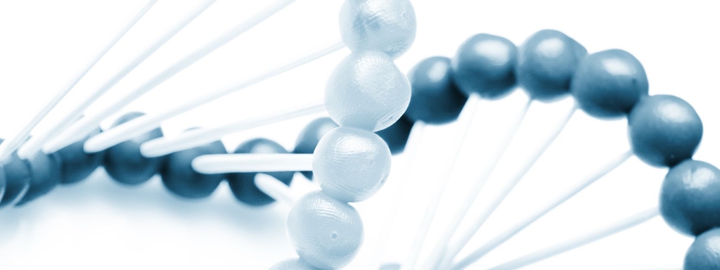 DNA-streng DNA-streng