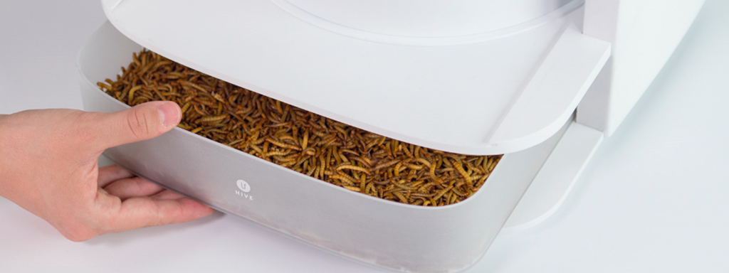 Insectenolie als duurzame bron van omega-3 Insectenolie als duurzame bron van omega-3