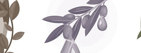 Olijfbladextract verbetert postmenopauzale symptomen