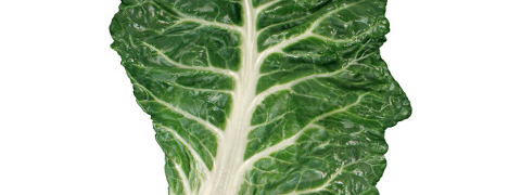 Veganisme