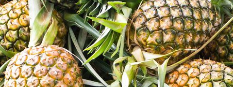 Ananas, bron van bromelaïne