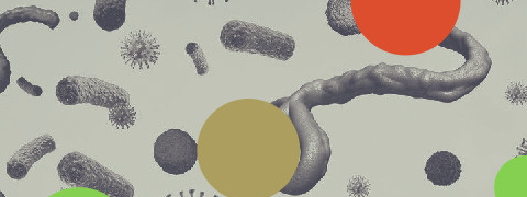 Microbiota van de mond