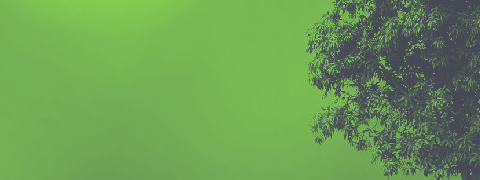 Biodiversiteit en wereldgezondheid