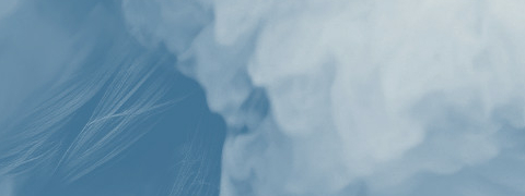 Brain fog