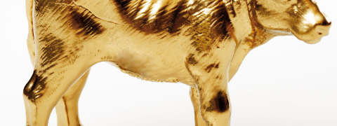 Gouden koe
