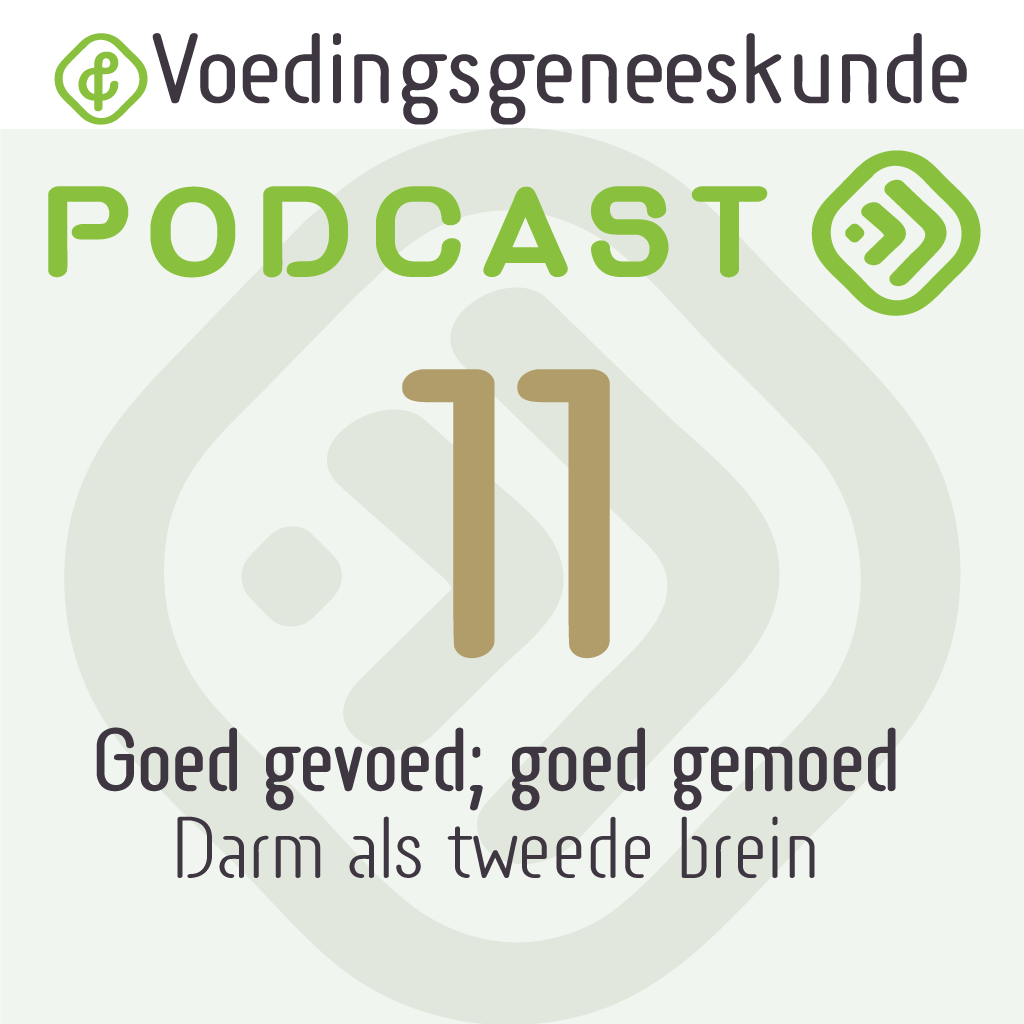 vg-podcast11
