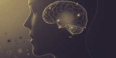 L’Heureux JE, Corbett A, Ballard C, et al. Oral microbiome and nitric oxide biomarkers in older people with mild cognitive impairment and APOE4 genotype. PNAS Nexus. 1 januari 2025;4(1):pgae543. 
