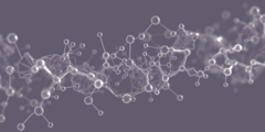 Prebiotica geen effect op metabole weerbaarheid?