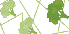 Broccolikiemen en microbiota bij prediabetes