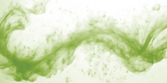 Spirulina