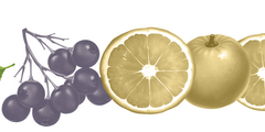 Cranberry of vitamine C geen invloed op urobioom