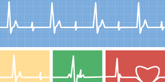 Homocysteïne als cardiovasculaire risicofactor