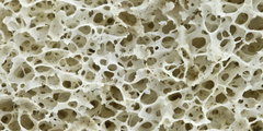 Silicium essentieel of nuttig?