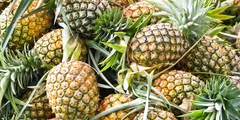 Ananas, bron van bromelaïne
