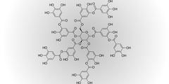 Polyfenolen