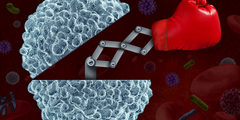 Voedingsstof voor de immuniteit