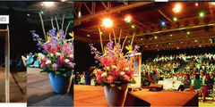 Congres Arts en Voeding