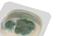 Schimmels in gefermenteerd voedsel
