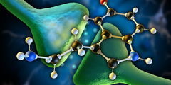 Vage link tussen serotonine en depressie