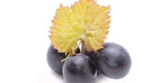 Druivenschil bevat resveratrol