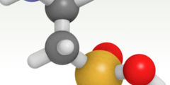 Taurine