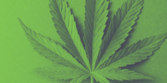 Cannabis als medicijn
