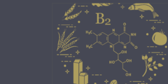 Riboflavine (vitamine B2) contra glutamaat