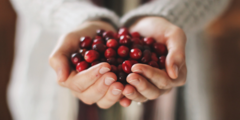 Cranberry