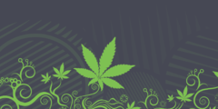 THC tegen fibromyalgie