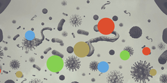 Microbiota van de mond