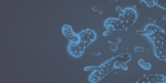 Probiotica vs microbiota