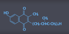 Vitamine K in de hersenen