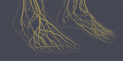 Neuropathie en voedingssupplementen