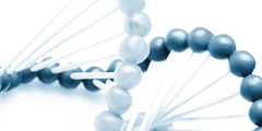 DNA-streng