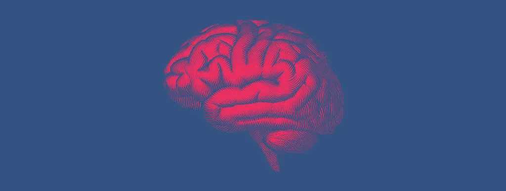 Ginseng bij acute beroerte