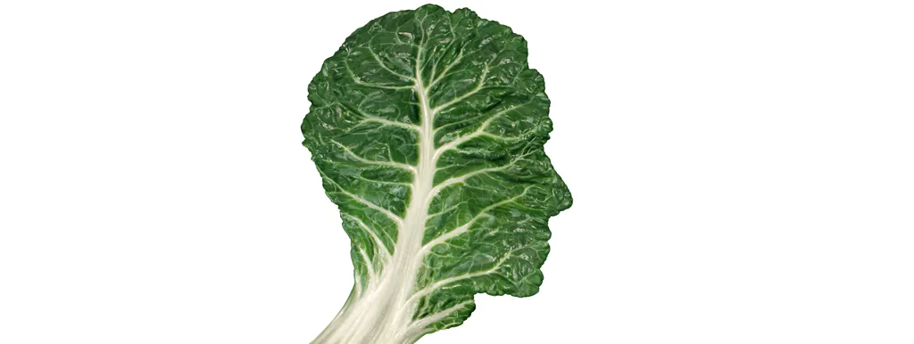 Magnesium beschermt zenuwcellen