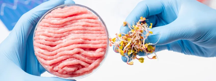 Mineralen uit vleesvervangers