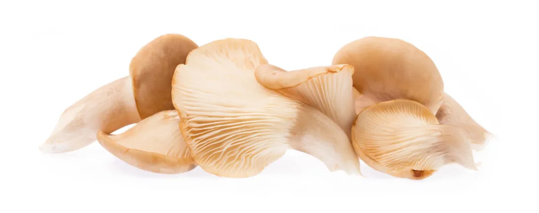 Oesterzwam bij glucose-intolerantie