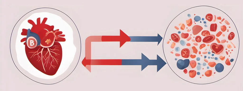 B-vitaminen verlagen homocysteïne