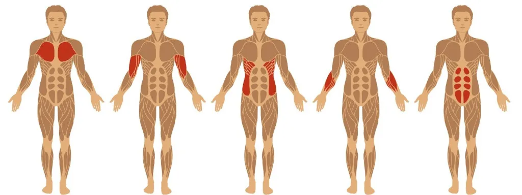 Suppletie helpt tegen leaky gut