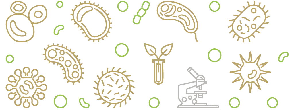 Darmmicrobioom bepaalt reacties op voeding