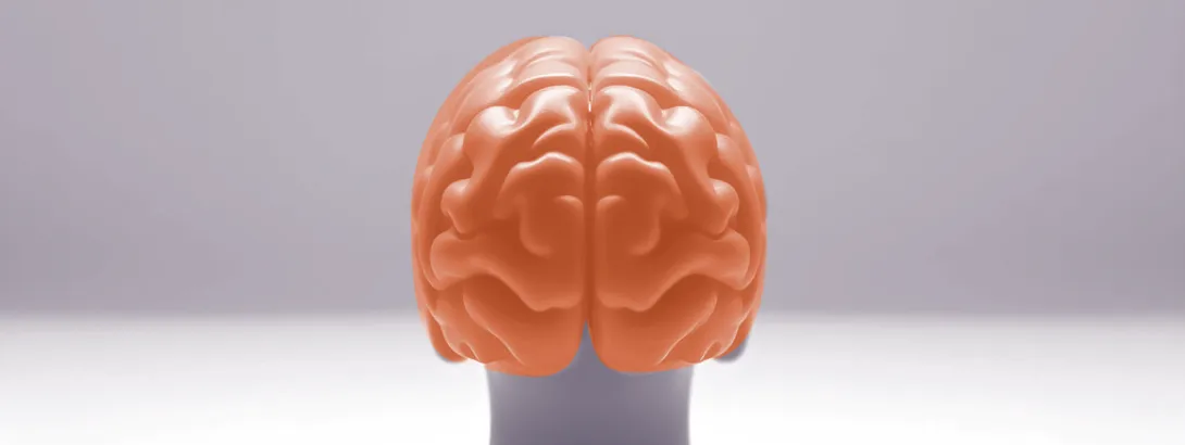 Vitamine C als onderdeel van de hersen-darm-as