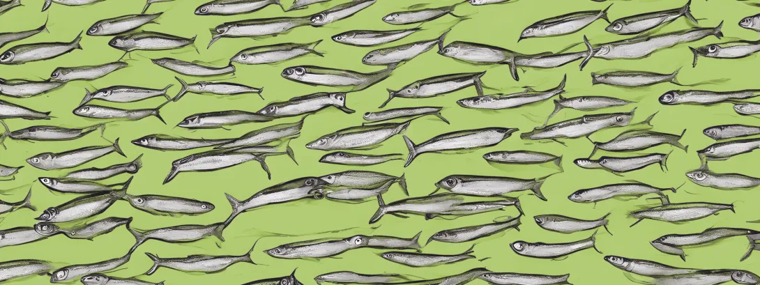 Omega-3-tekort treft wereldbevolking