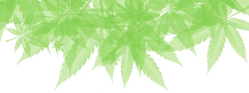 Endocannabinoïden in ons lichaam