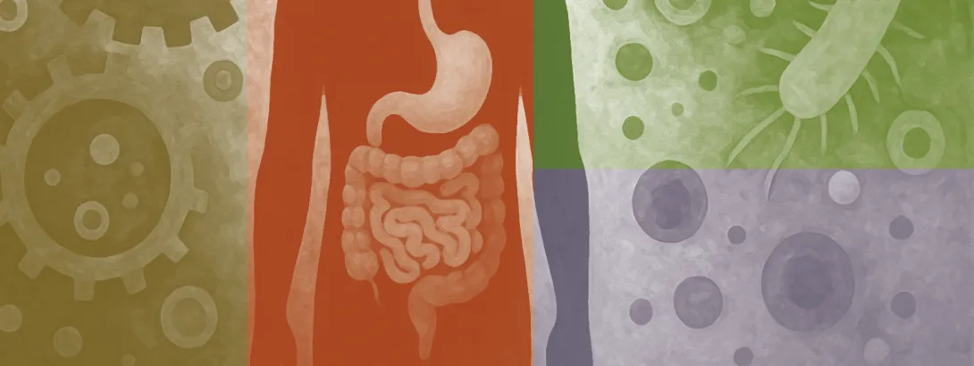 Darmgezondheid en metabolisme